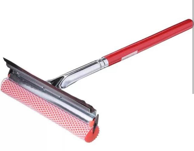 auto squeegee